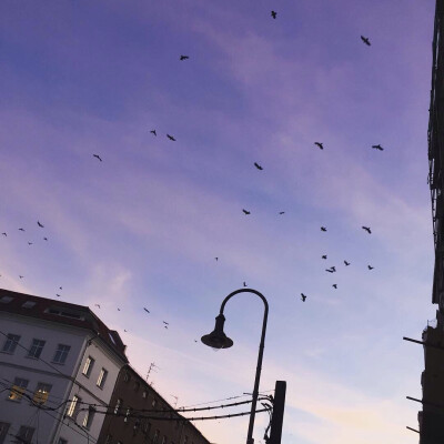 【天空】【蓝色】【清新】【白云】【梦幻】【紫色】