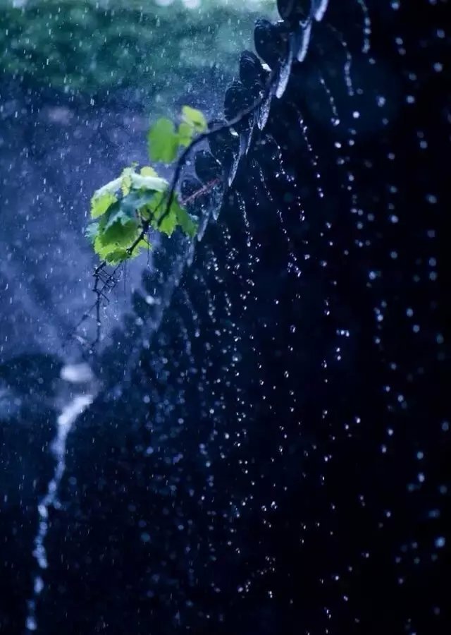 枕上诗书闲处好，门前风景雨来佳。