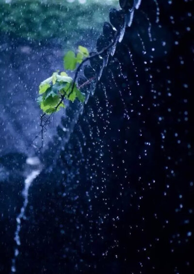 枕上诗书闲处好，门前风景雨来佳。