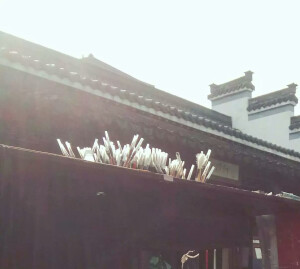 执笔泼墨画江山