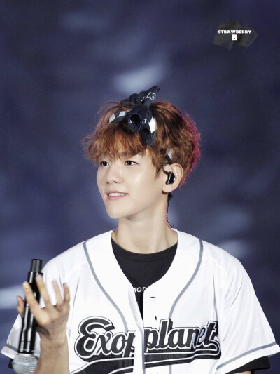 EXO BaekHyun 边伯贤 cr:logo