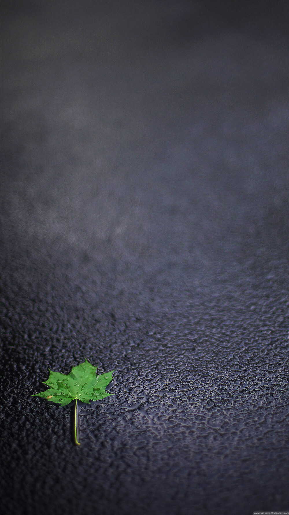 三星手机壁纸1440x2560samsunggalaxynote4