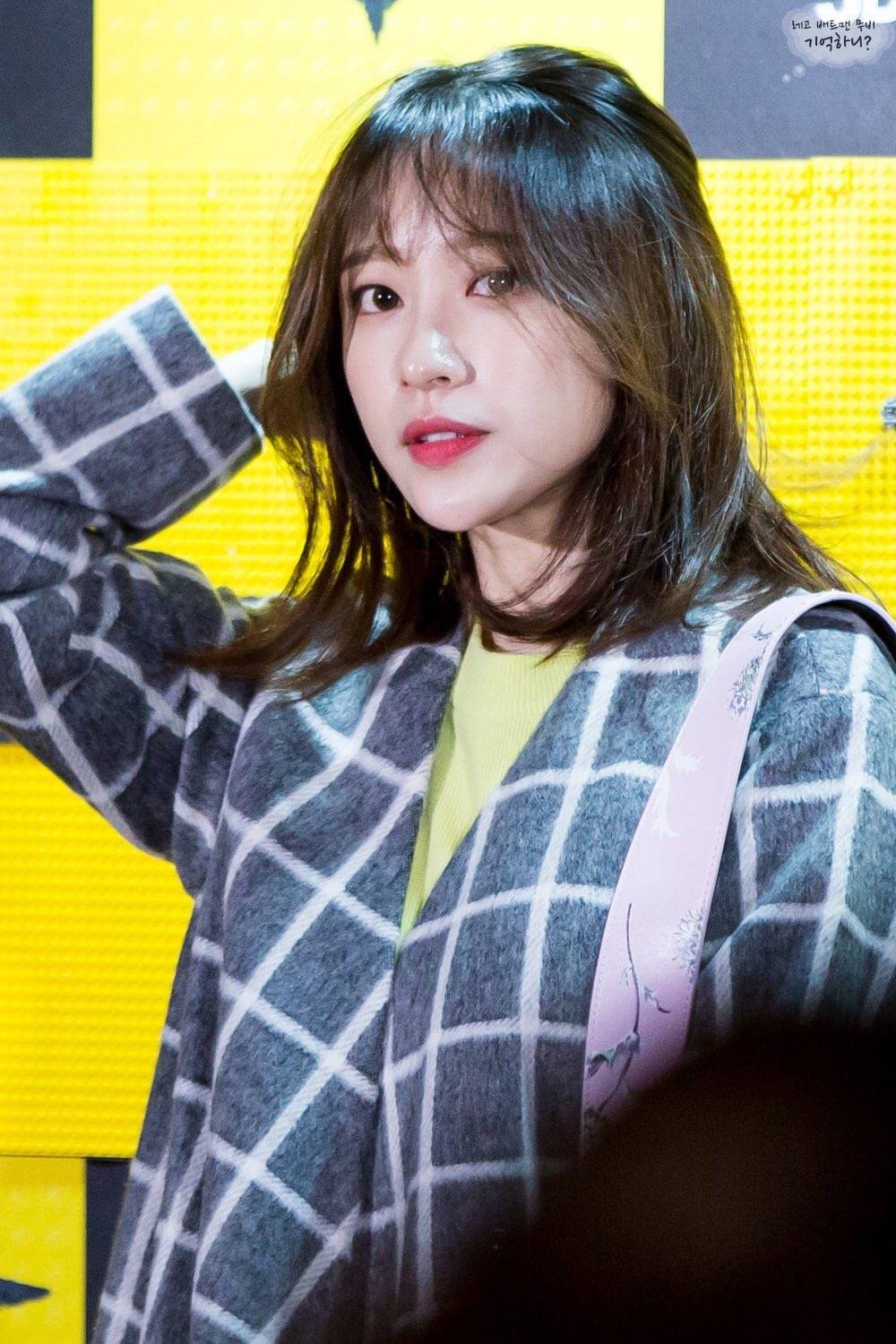 exid安喜延安希妍hani