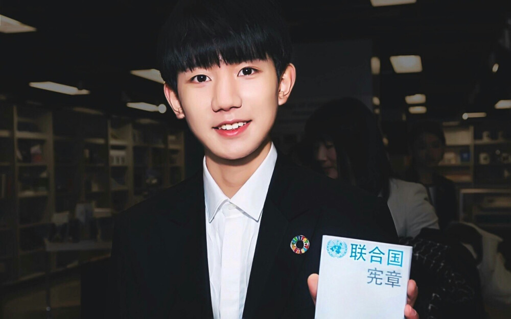 tfboys王源 联合国