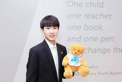 tfboys王源 联合国