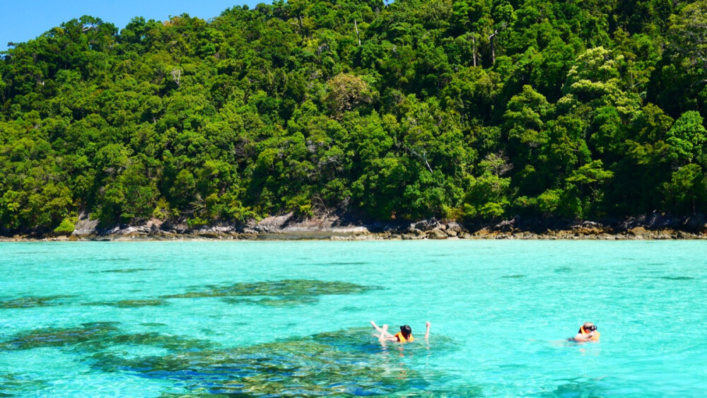 # 浮潜日 #车行两个半小时再船行2小时感觉都要到马来西亚了海水蓝到醉心 小鱼儿活珊瑚在你的四周呼吸大自然把最美的一幕放到了眼底虽然回来变成非洲小西还是值得哒