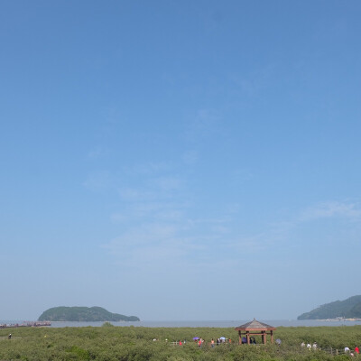 @阳江海陵岛红树林湿地公园