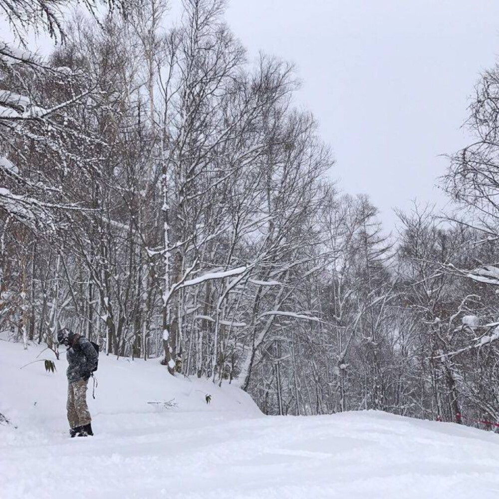 170204【】 ???