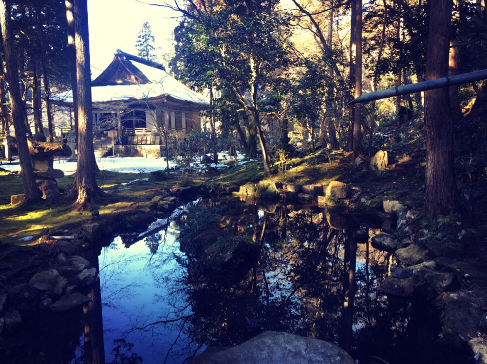 多少年的时光让你生的如此安然静谧