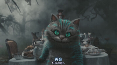 柴郡猫