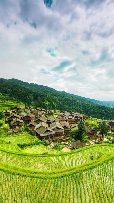 侗寨即侗族村落，大多就其地形而建，各个房子之间有机相连，构成一幅错落有致的画卷。