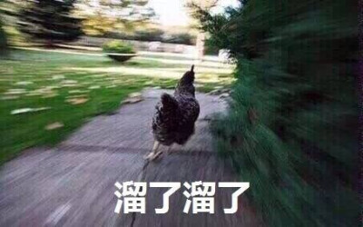 溜了溜了