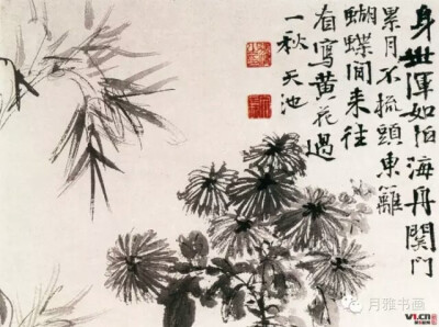 国画«菊»