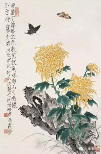 国画«菊»