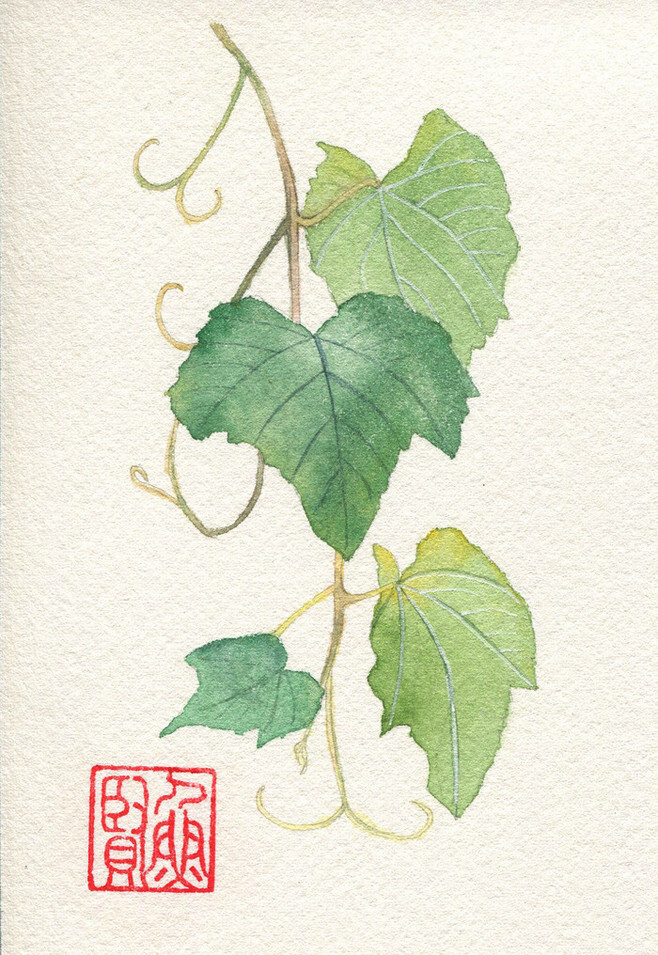 leaf