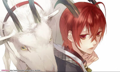 摩羯座(Capricornus)，12.22-1.19，土象星座