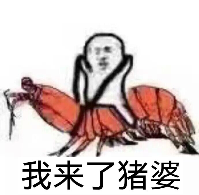 皮皮虾表情包