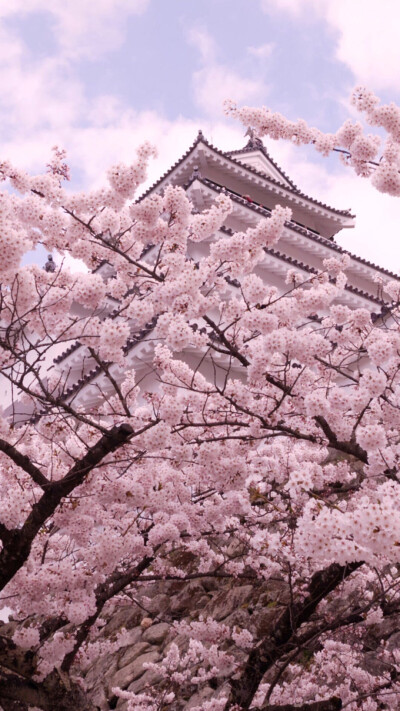 风景 街景 旅行 美景 鲜花 清新 摄影 田园 绿色 自然 淡雅 风景名胜 壁纸 素材 锁屏 屏保 高清 无水印✧⁺⸜(●˙▾˙●)⸝⁺✧