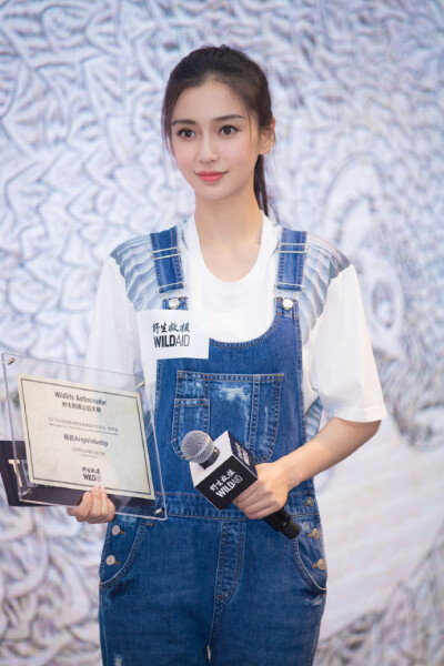 Angelababy 由野生救援WildAid 举行的“保护穿山甲项目”新闻发布会