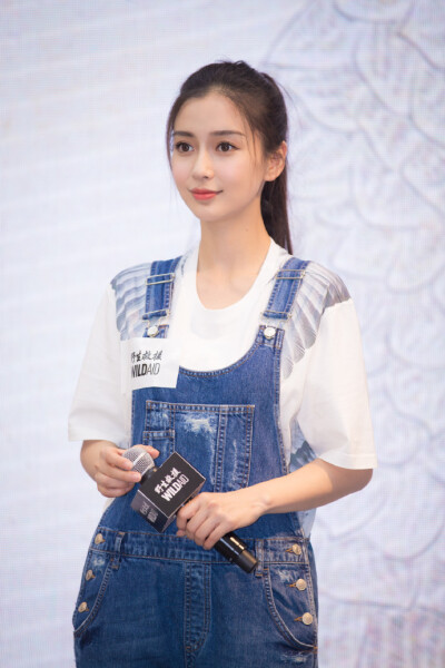 Angelababy 由野生救援WildAid 举行的“保护穿山甲项目”新闻发布会