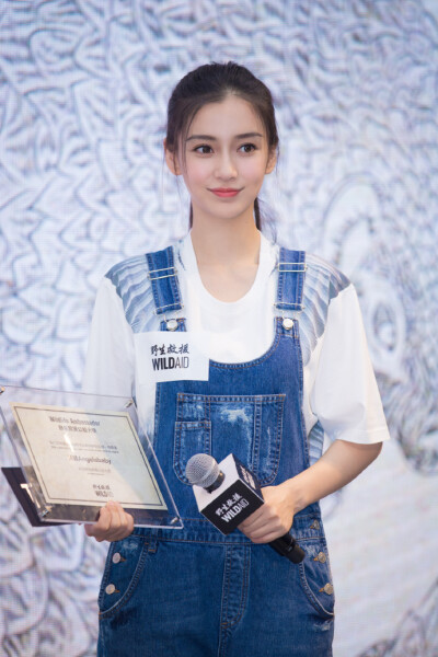 Angelababy 由野生救援WildAid 举行的“保护穿山甲项目”新闻发布会