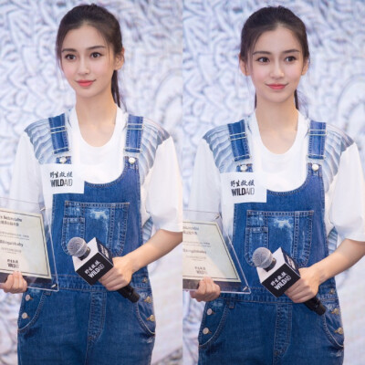 Angelababy 由野生救援WildAid 举行的“保护穿山甲项目”新闻发布会