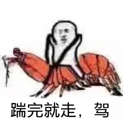 皮皮虾，我们走！