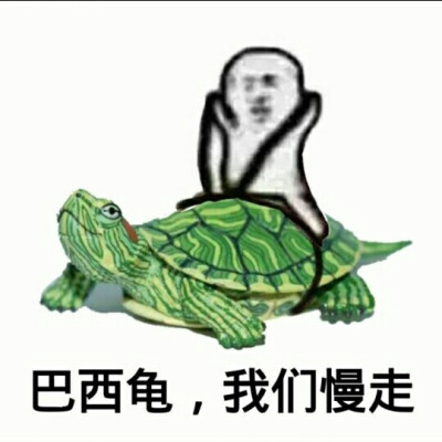 皮皮虾，我们走！