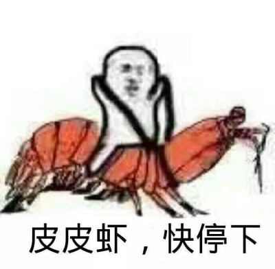 皮皮虾，我们走！