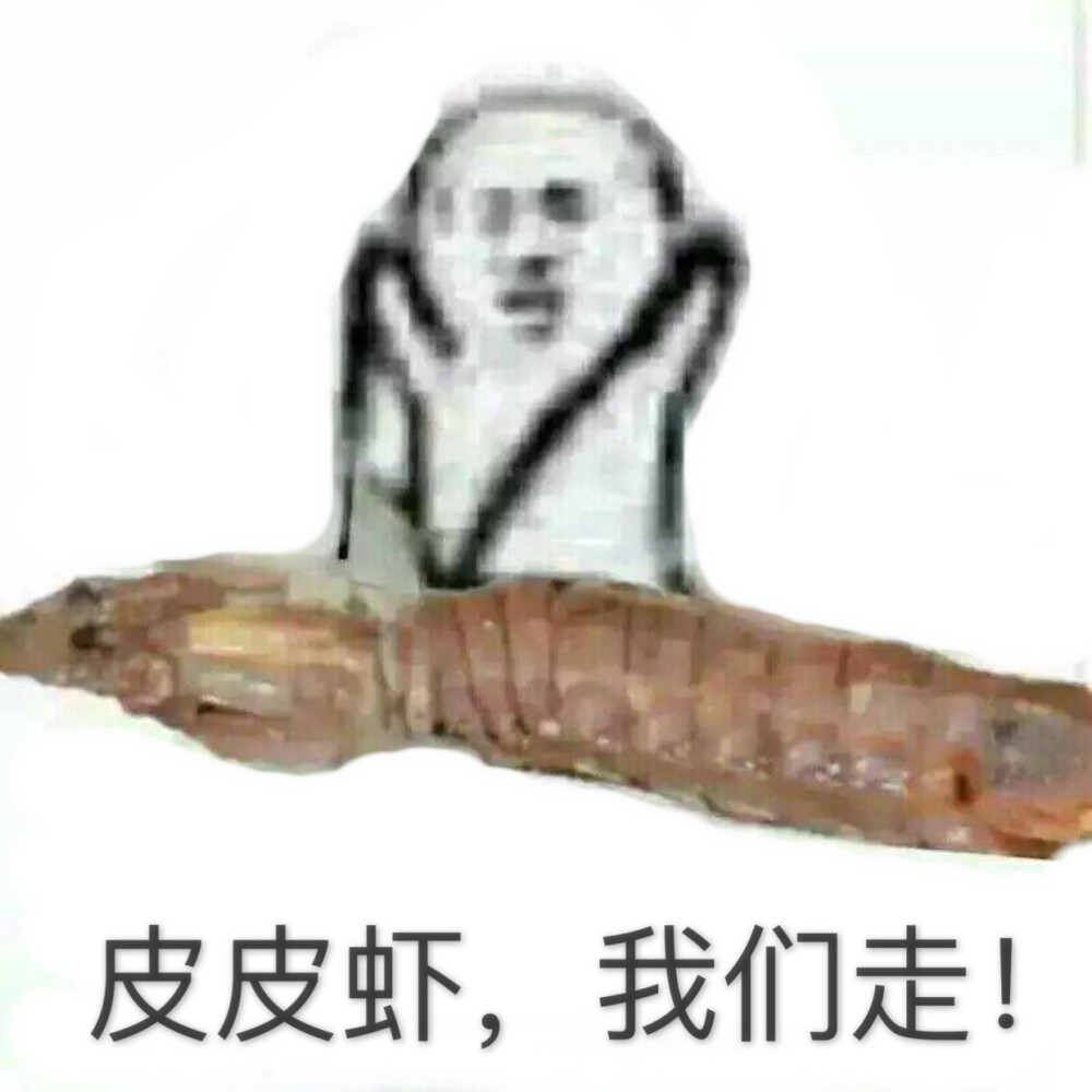 皮皮虾，我们走！