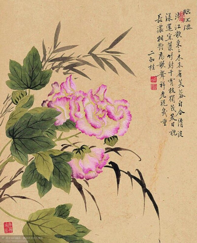  ▽邹一桂 恽兰溪《芙蓉竹子图》（花卉八开）