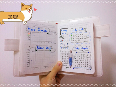 #my bullet journal#关于手帐的一切