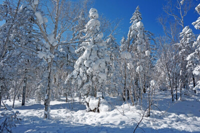 旅行·雪乡