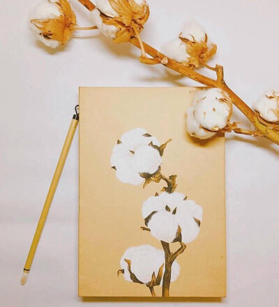棉花