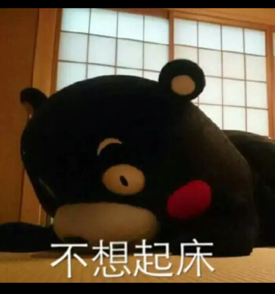 熊本熊（日语：くまモン，英语：Kumamon），官方翻译为酷ma萌，是日本熊本县的官方萌物，2011年日本吉祥物票选活动第一名，被评为日本最有名的熊。至2011年9月29日担任熊本县临时职员，2011年9月30日开始担任熊本县…