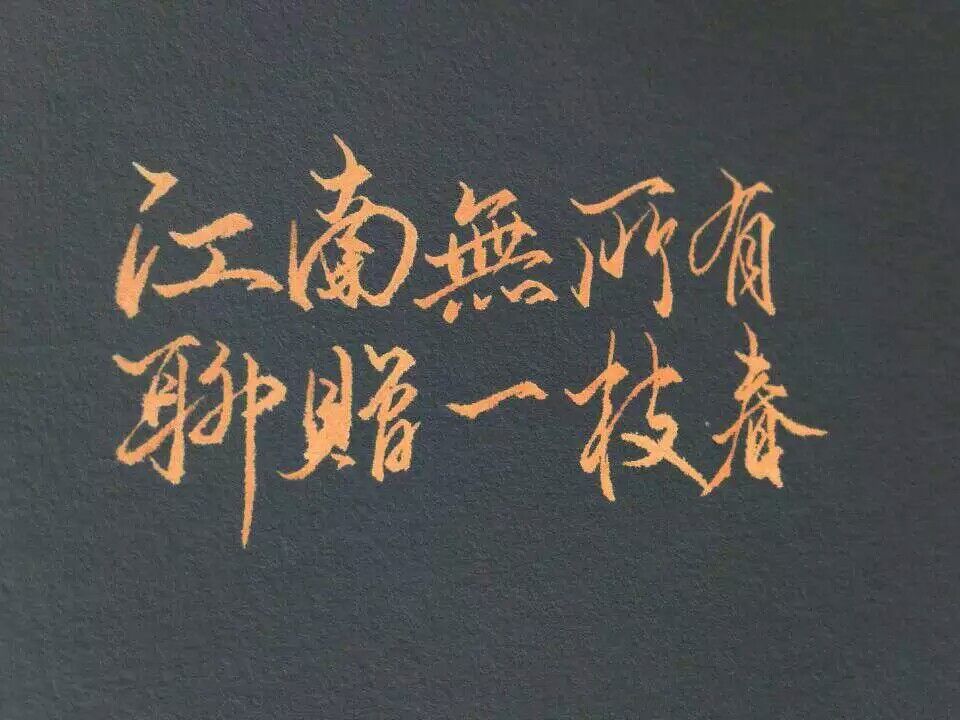 行楷手写。
江南无所有，聊赠一枝春。
非原创。