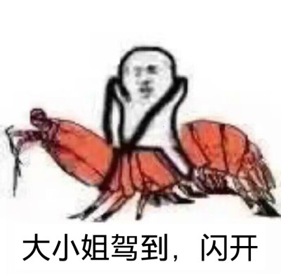 皮皮虾我们走表情包