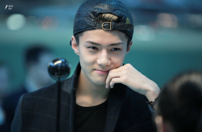 EXO SEHUN 吴世勋 cr:logo