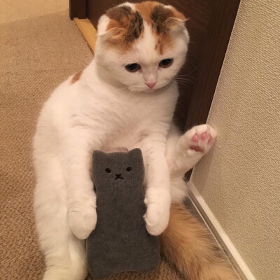 翘脚脚~