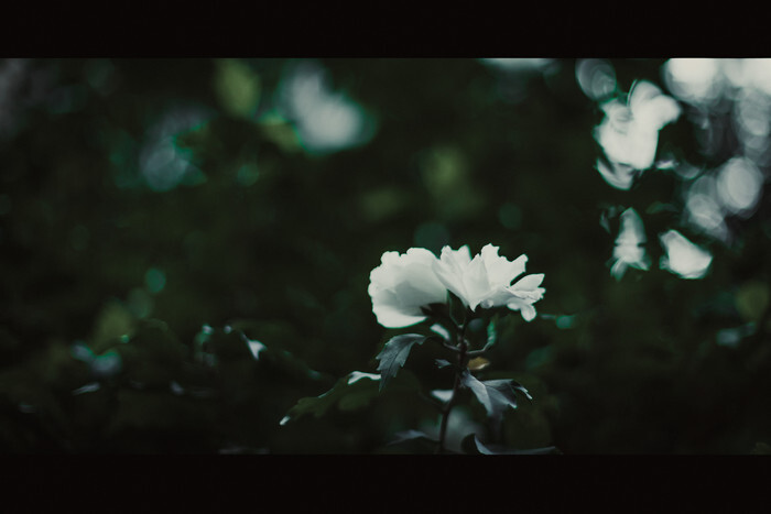 QQ背景图 清新 文艺