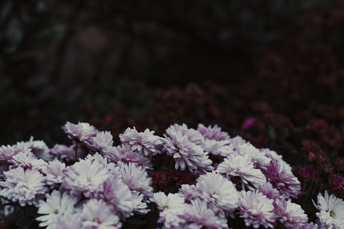 QQ背景图 清新 文艺