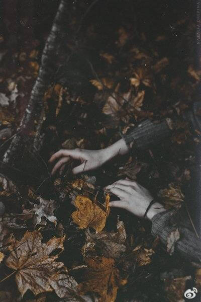 手 Natalia Drepina 摄影艺术 