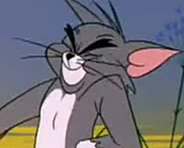 自己截了一组表情包ヽ(•̀ω•́ )ゝ