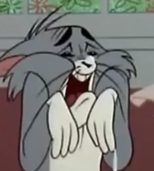 自己截了一组表情包ヽ(•̀ω•́ )ゝ