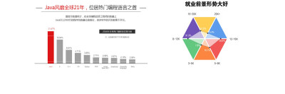 软件开发 炫图 java学习 H5 辣客学院-IT工程实训 lakexueyuan.cn 0基础 web设计 前端 UI 程序员 程序 软件 设计 就业保障 banner 高清 大图
