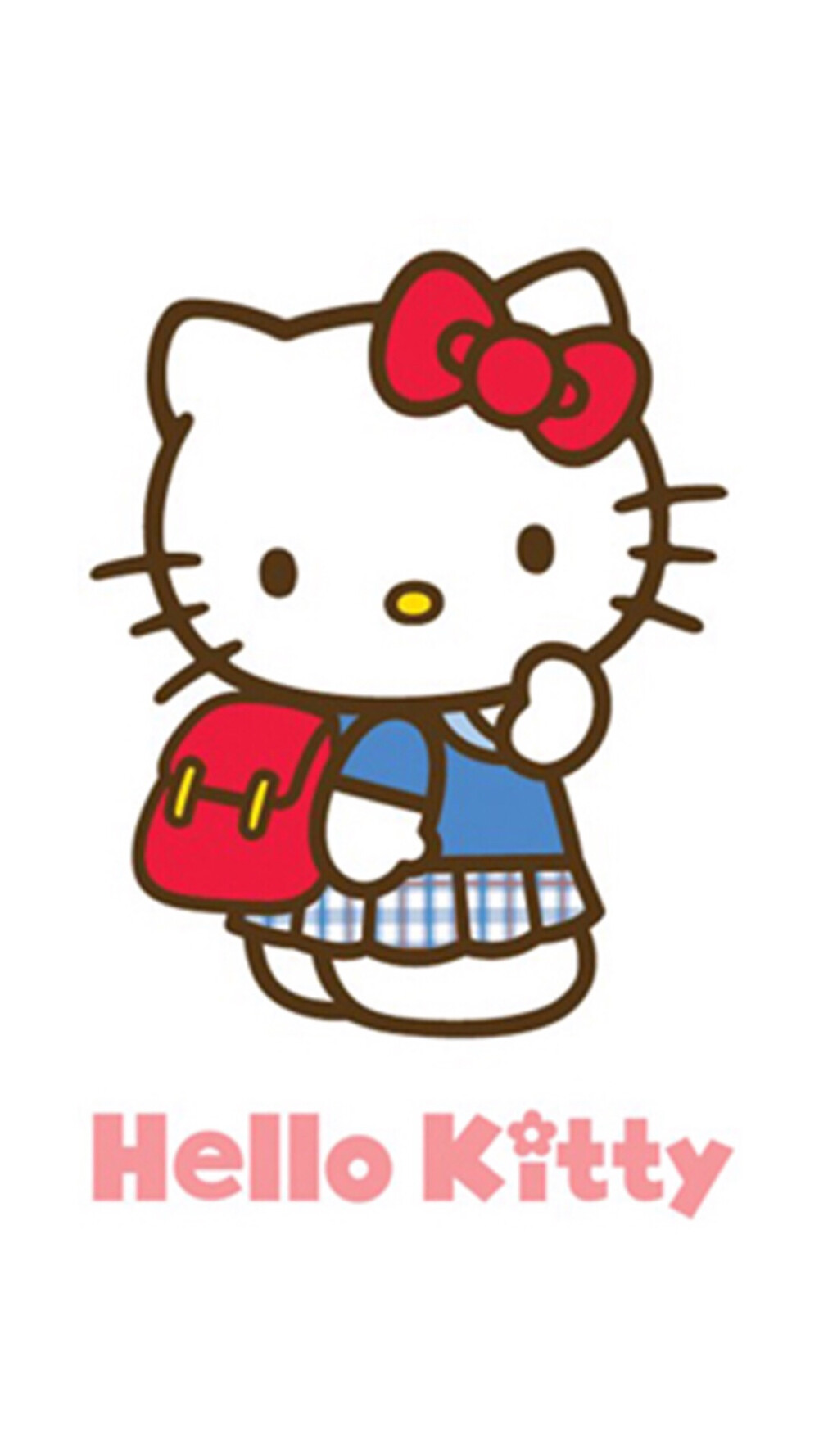 钟爱这只猫kitty