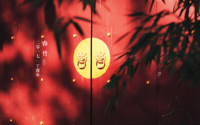 想要收集的年味
却是打捞了一池光影