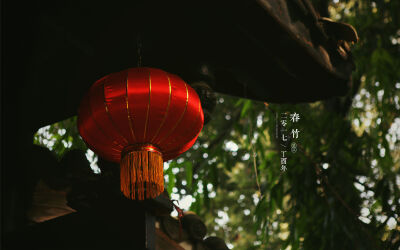 想要收集的年味
却是打捞了一池光影