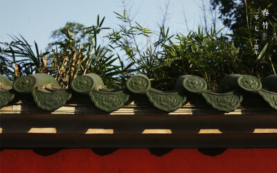 想要收集的年味
却是打捞了一池光影