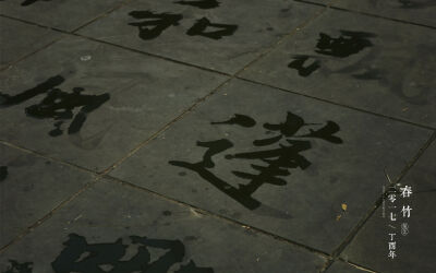 想要收集的年味
却是打捞了一池光影